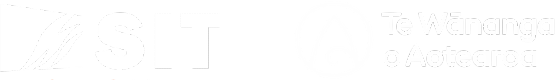 Māori Language and Arts at SIT